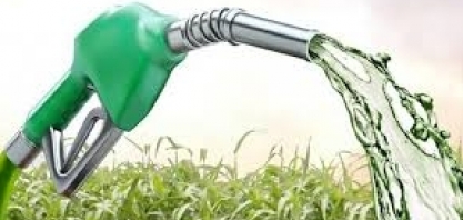 Etanol/SP: Hidratado recua 0,06% e anidro sobe 2,85% na semana nas usinas