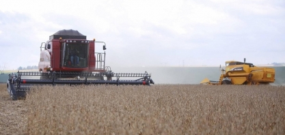 Grãos impulsionam PIB da agropecuária no 2º trimestre