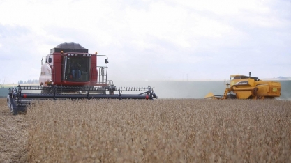 Grãos impulsionam PIB da agropecuária no 2º trimestre