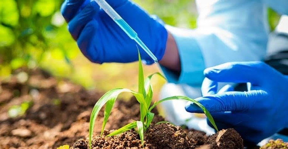 Brasil lidera adoção de bioinsumos, mas enfrenta desafios regulatórios