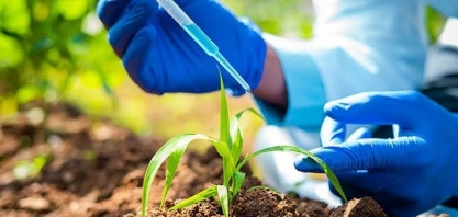 Brasil lidera adoção de bioinsumos, mas enfrenta desafios regulatórios