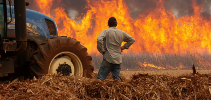 Novas regras para os produtores rurais paulistas afetados pelos incêndios