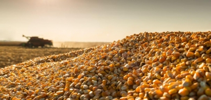 O que o boom do etanol de milho representa para o biocombustível da cana?