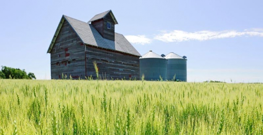 EUA: Agricultores enfrentam calamidade financeira sem ajuda extra em breve