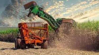 Produção de açúcar do Centro-Sul sobe 18,2% na 2ª metade de agosto