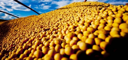 Grãos sobem em Chicago com movimento técnico e queda do dólar