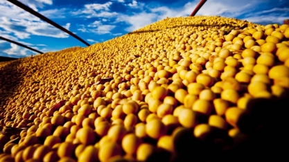 Grãos sobem em Chicago com movimento técnico e queda do dólar