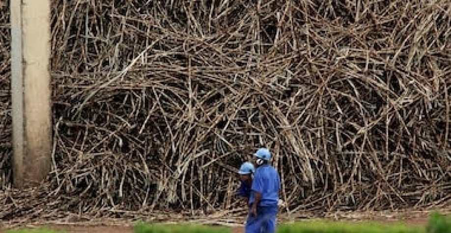 Venda de fatia da Raízen atrai grupos japoneses, Itaúsa, Glencore e Aramco