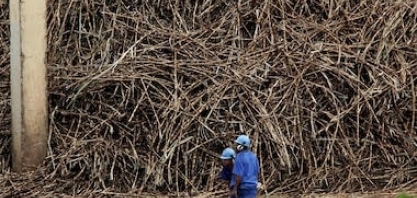 Venda de fatia da Raízen atrai grupos japoneses, Itaúsa, Glencore e Aramco