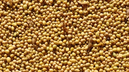 Preço da soja sobe no Brasil, apoiado pela cotação em Chicago