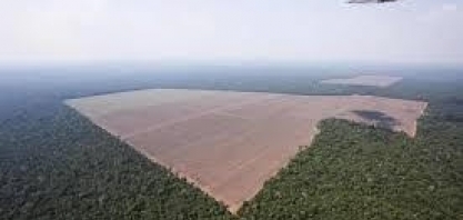 Demanda crescente por soja empurra agricultores para o coração da Amazônia
