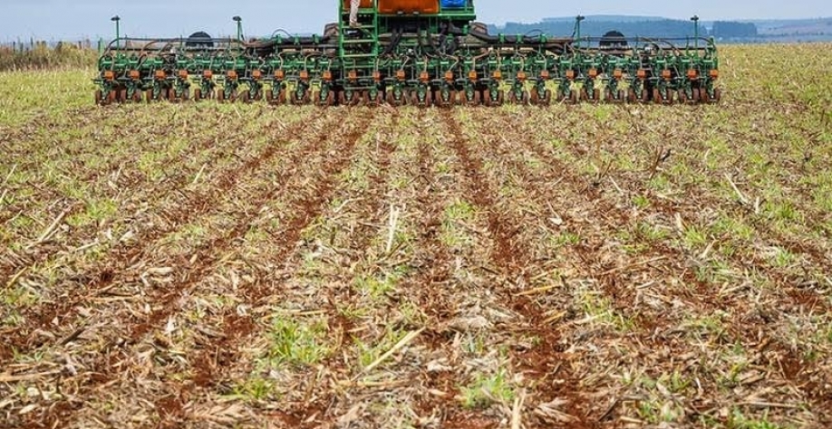 Chuva beneficia início do plantio de soja no Brasil