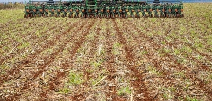 Chuva beneficia início do plantio de soja no Brasil