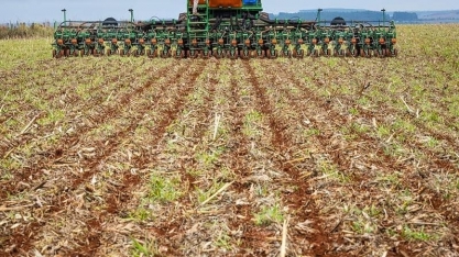 Chuva beneficia início do plantio de soja no Brasil