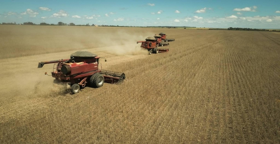 Acordo EUA-China não avança e soja cai na bolsa de Chicago