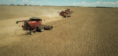 Acordo EUA-China não avança e soja cai na bolsa de Chicago