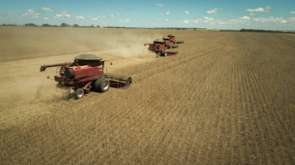 Acordo EUA-China não avança e soja cai na bolsa de Chicago