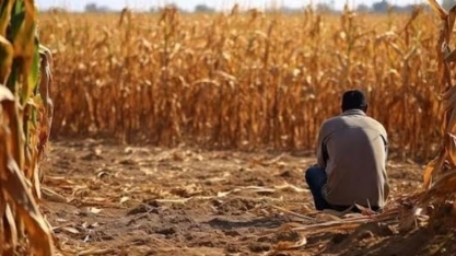 Agro: Recuperação judicial tem alta de 44,6% no 1º trimestre