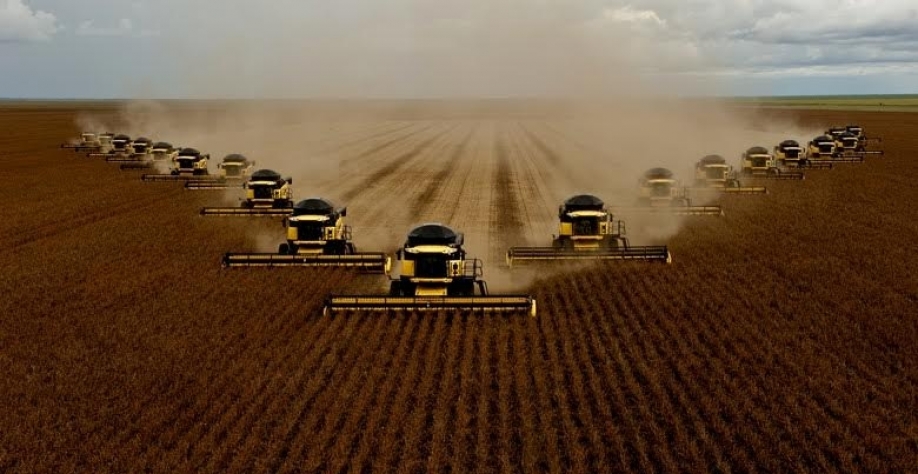 Grãos:Brasil colhe na safra de 2025 o volume que só era previsto para 2029