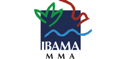 Ibama: Frigoríficos investigados por compra de gado de áreas desmatadas