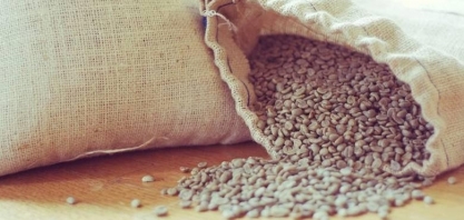 Preço do café cai 11% em uma semana no mercado brasileiro