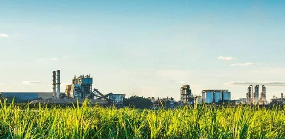 Atvos considera investir R$ 2 bi em etanol de milho em Mato Grosso do Sul