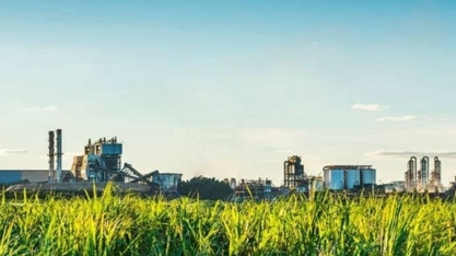 Atvos considera investir R$ 2 bi em etanol de milho em Mato Grosso do Sul