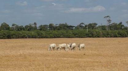 Agronegócio busca eficiência para enfrentar efeitos da crise climática