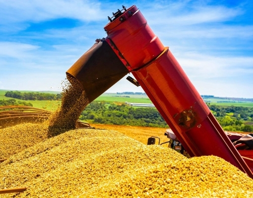 Oferta estável e demanda retraída mantêm preço da soja em queda