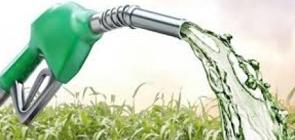 Etanol: Hidratado sobe 2,17% e anidro 1,23% na semana nas usinas de SP