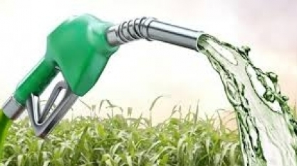 Etanol: Hidratado sobe 1,52% e anidro 1,96% na semana nas usinas de SP