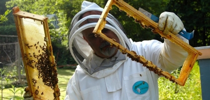 Na boca da safra, aumenta o desafio do setor de mel com a tarifa