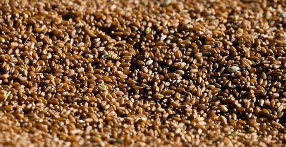 Grãos encerram dia em alta na bolsa de Chicago