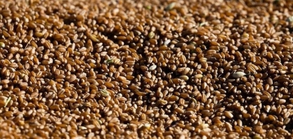 Grãos encerram dia em alta na bolsa de Chicago