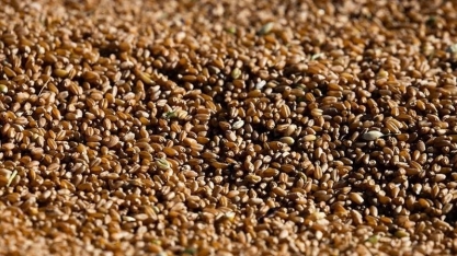 Grãos encerram dia em alta na bolsa de Chicago