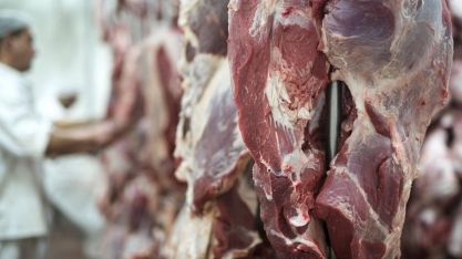Para analistas, já bem aceita, carne bovina pode ampliar mercado