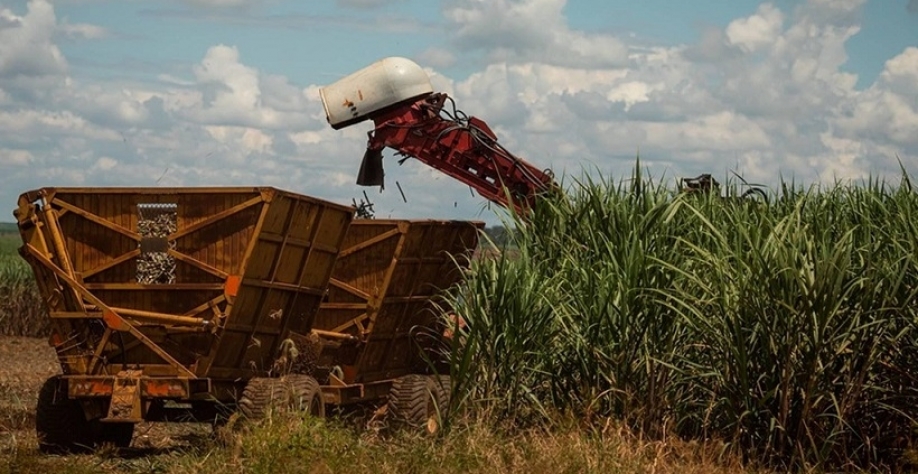Preços do açúcar sobem no Brasil, enquanto os do etanol caem