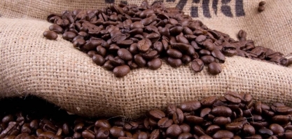 xportações de café recuaram 17,5% em agosto; EUA deixam liderança