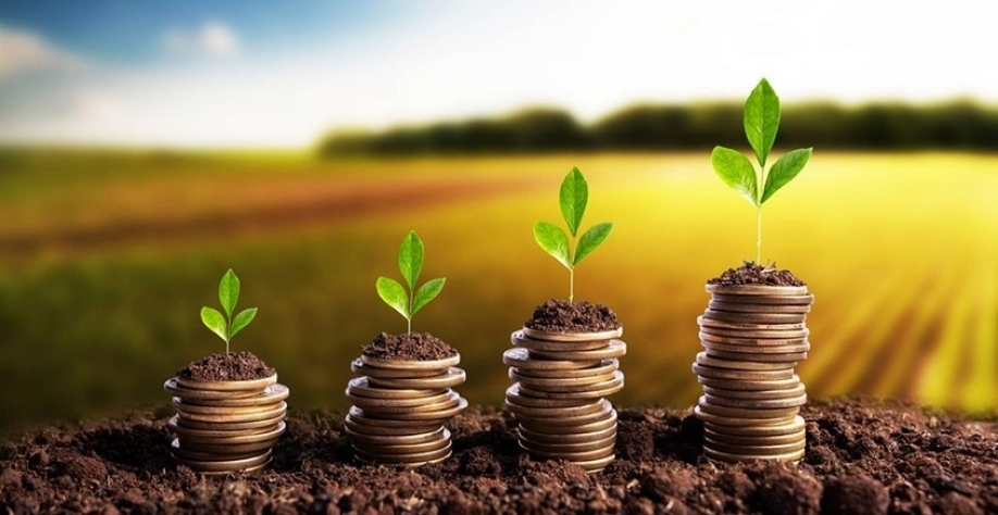 Agro está se tornando um risco para o mercado de crédito no Brasil?