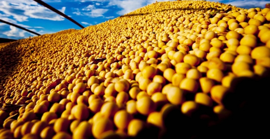 Demanda por soja dos EUA perde ainda mais força e preço cai em Chicago