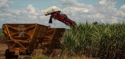 Preços do açúcar caem enquanto etanol tem a sétima alta semanal consecutiva
