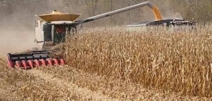 Preços de soja e milho sobem em Chicago após ajustes técnicos