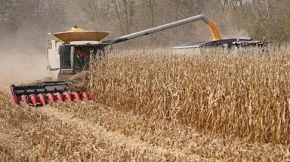 Preços de soja e milho sobem em Chicago após ajustes técnicos