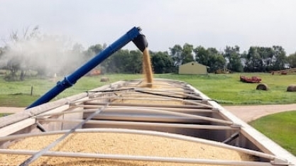 Rejeição da China à soja dos EUA leva crise aos fazendeiros americanos