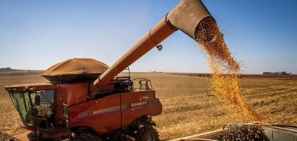 IBGE prevê safra recorde em 2025, com 341,2 milhões de toneladas
