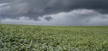 Europeus pedem veto à soja de área desmatada mesmo sem Moratória