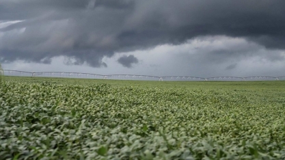 Europeus pedem veto à soja de área desmatada mesmo sem Moratória