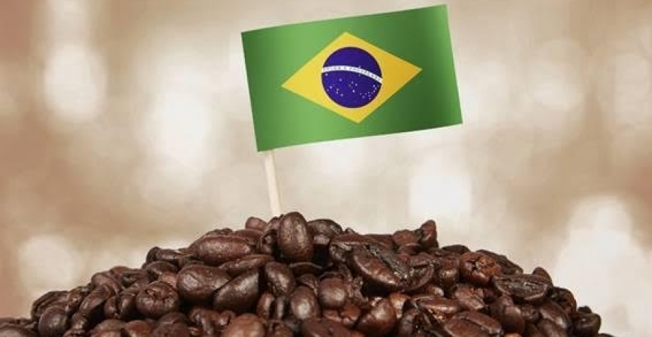 Café: O “Cisne Loiro” voltou a atacar! – Por Marcelo Fraga Moreira