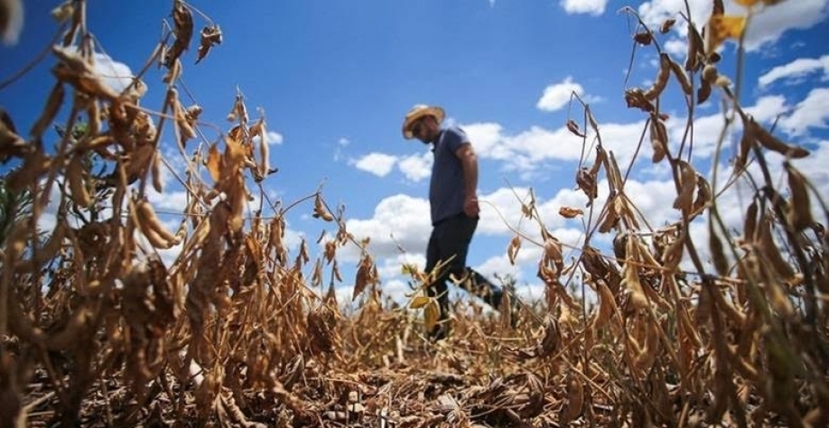 Retorno do La Niña acende sinal amarelo para produtores da região Sul