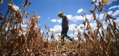 Retorno do La Niña acende sinal amarelo para produtores da região Sul